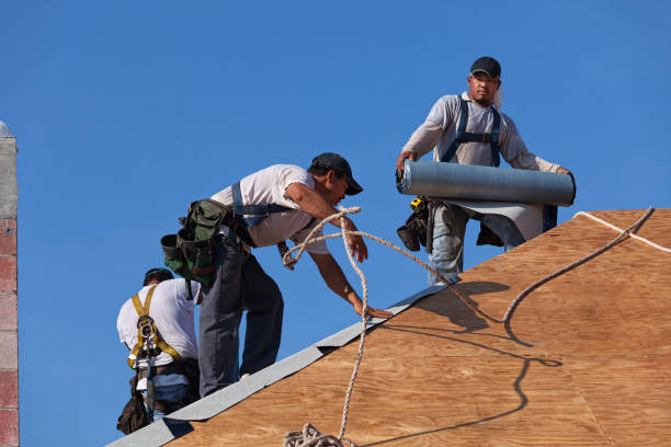 Best Metal Roofing Contractor  in Oakfield, WI